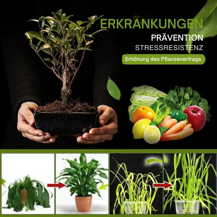 2+1 Gratis | 3-Tage-Aktivator für Gartenerde Zorenza