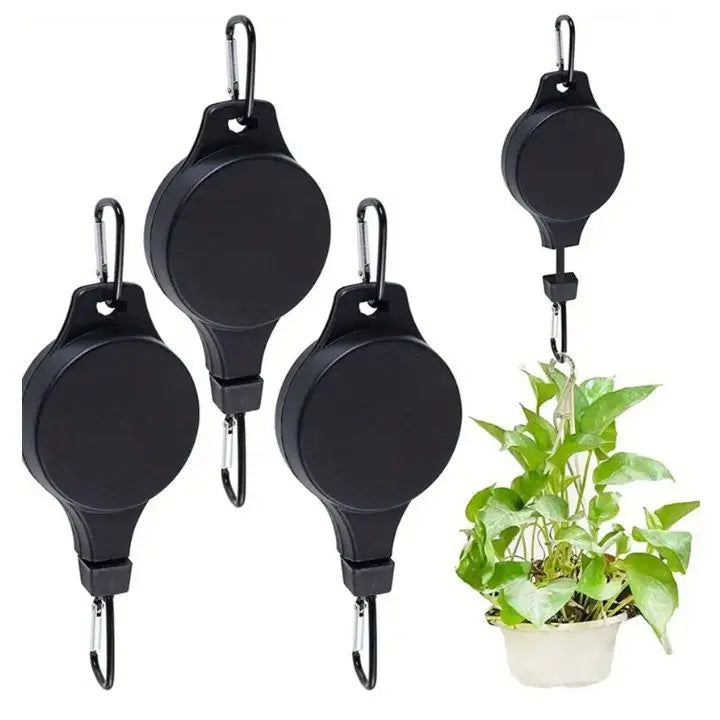 2+2 Gratis | Das elegante Pflanzen-Hängeset für dein Zuhause Zorenza