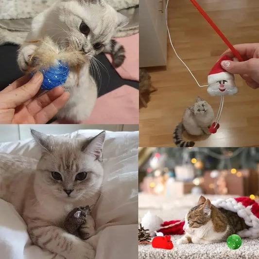 Adventskalender für Katzen | 24 liebevoll ausgewählte Spielzeuge Mivoza Deutschland