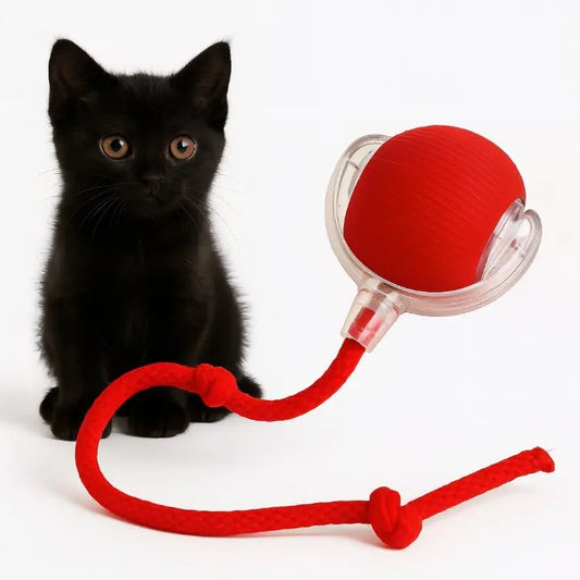 Automatischer Spielball für aktive Haustiere Zorenza