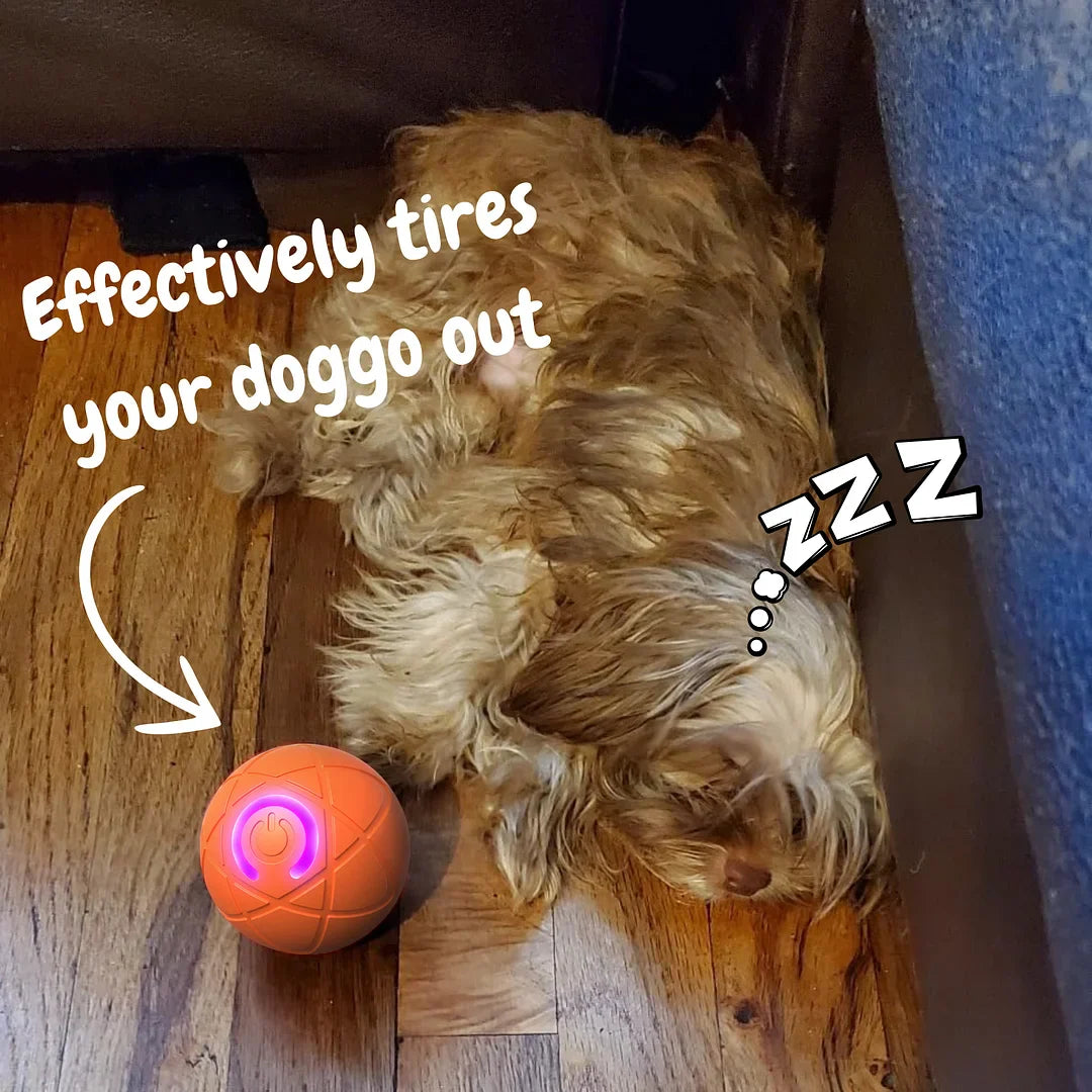 Hours of never-ending playtime ⏰Have a carpet floor? No worries Mivoza Deutschland