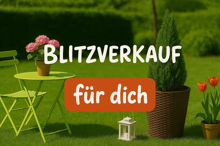 Blitzverkauf Zorenza