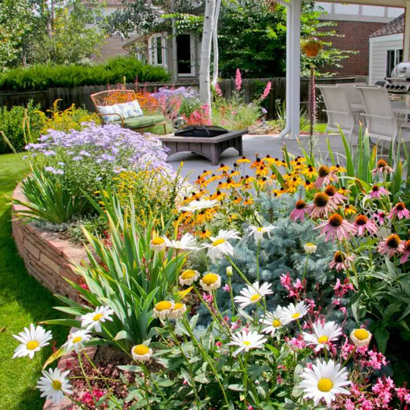 1000 Samen Mehrjährige Blumenmischung – 60+ Sorten für ganzjährige Blüten Zorenza
