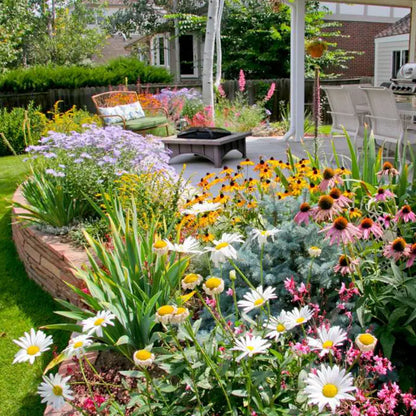 1000 Samen Mehrjährige Blumenmischung – 60+ Sorten für ganzjährige Blüten Zorenza