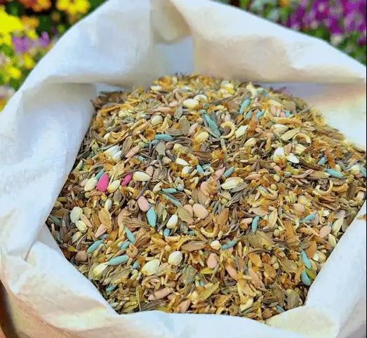 1000 Samen Mehrjährige Blumenmischung – 60+ Sorten für ganzjährige Blüten Zorenza