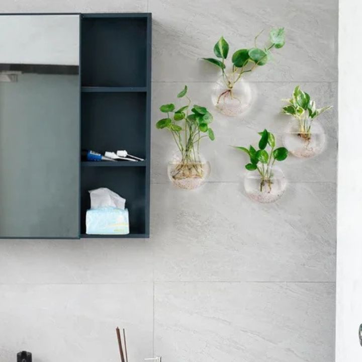 1+1 Gratis | Elegante Glas-Wandvase – Minimalistischer Pflanzenhalter Zorenza