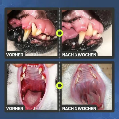 1+1 GRATIS | Natürliches zahnreinigungsspray für hunde und katzen Zorenza