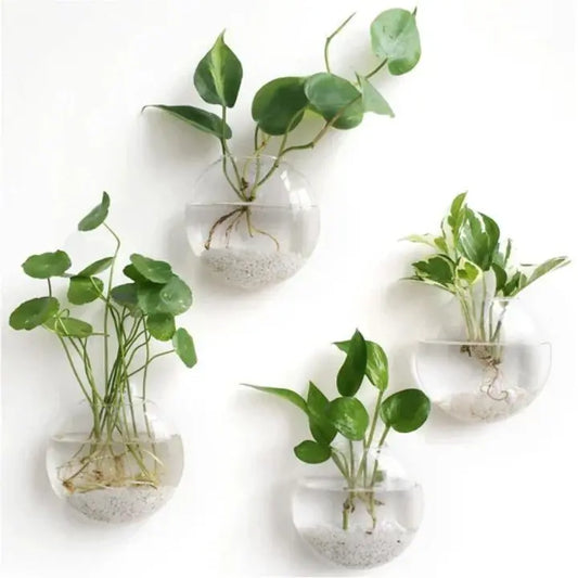 1+1 Gratis | Elegante Glas-Wandvase – Minimalistischer Pflanzenhalter Zorenza
