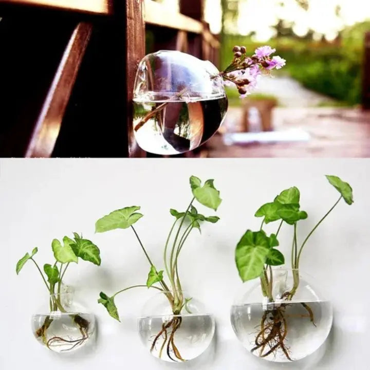 1+1 Gratis | Elegante Glas-Wandvase – Minimalistischer Pflanzenhalter Zorenza