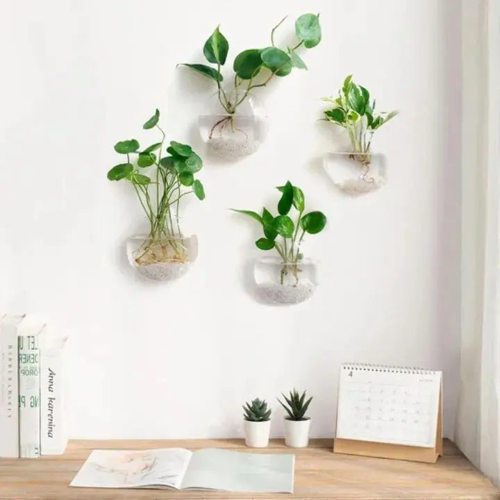 1+1 Gratis | Elegante Glas-Wandvase – Minimalistischer Pflanzenhalter Zorenza