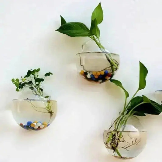 1+1 Gratis | Elegante Glas-Wandvase – Minimalistischer Pflanzenhalter Zorenza