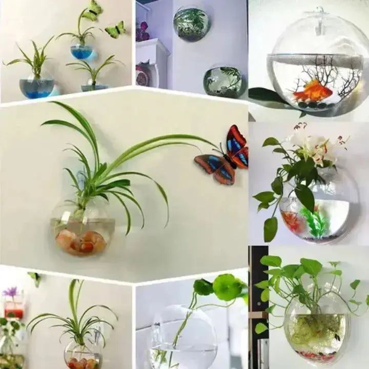 1+1 Gratis | Elegante Glas-Wandvase – Minimalistischer Pflanzenhalter Zorenza