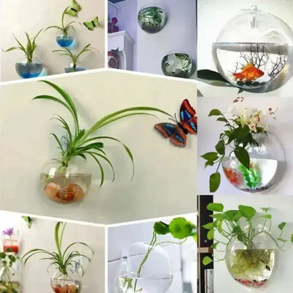 1+1 Gratis | Elegante Glas-Wandvase – Minimalistischer Pflanzenhalter Zorenza