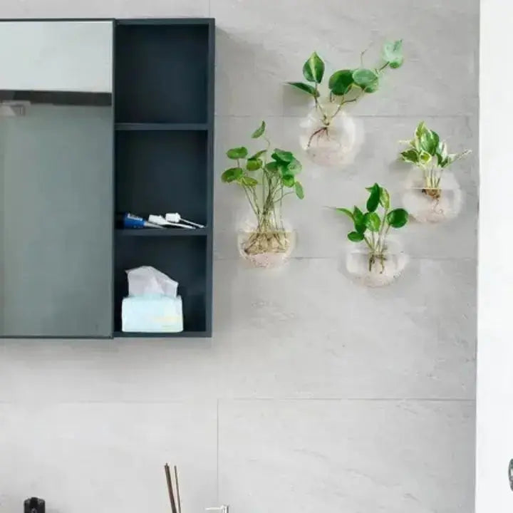 1+1 Gratis | Elegante Glas-Wandvase – Minimalistischer Pflanzenhalter Zorenza