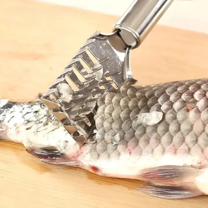 1+1 Gratis | FinPrecision™ Mach das Fischschuppen stressfrei! Mivoza Deutschland