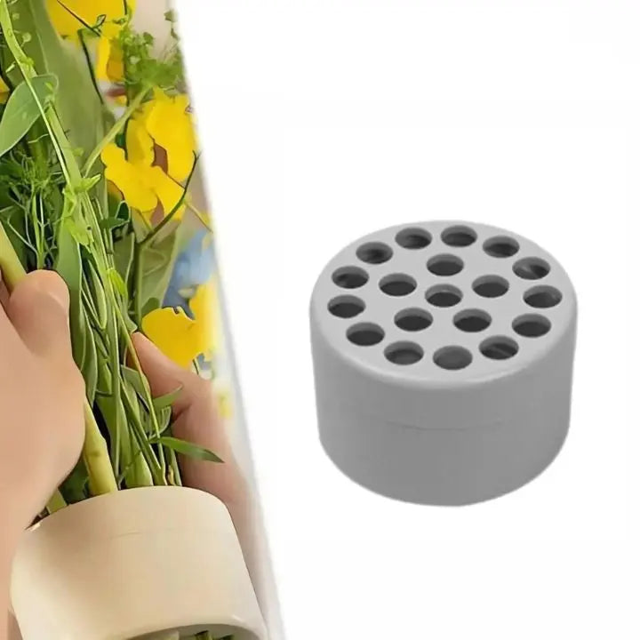 1+1 Gratis | Spiralförmiger Blumenstielhalter Zorenza
