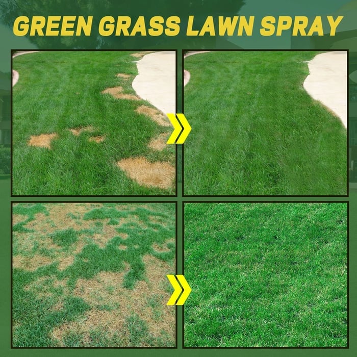 🌱GREEN GRASS & PEST CONTROL LAWN SPRAY Zorenza