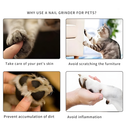 Lime à ongles sans stress pour votre animal Mivoza Deutschland