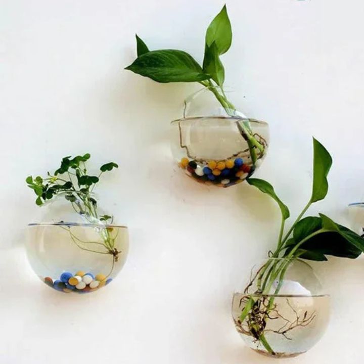 1+1 Gratis | Elegante Glas-Wandvase – Minimalistischer Pflanzenhalter Zorenza