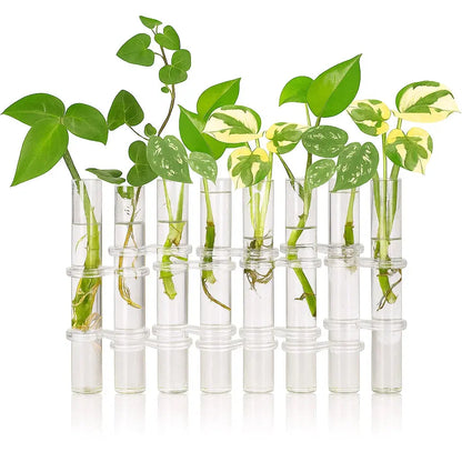 6-teiliges Glasvasen-Set – Klare Röhrenvasen für stilvolle Wohnräume Zorenza