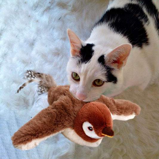 Katzenspielzeug Vogel — Animiert auch dicke & faule Katzen zur Bewegung Mivoza Deutschland