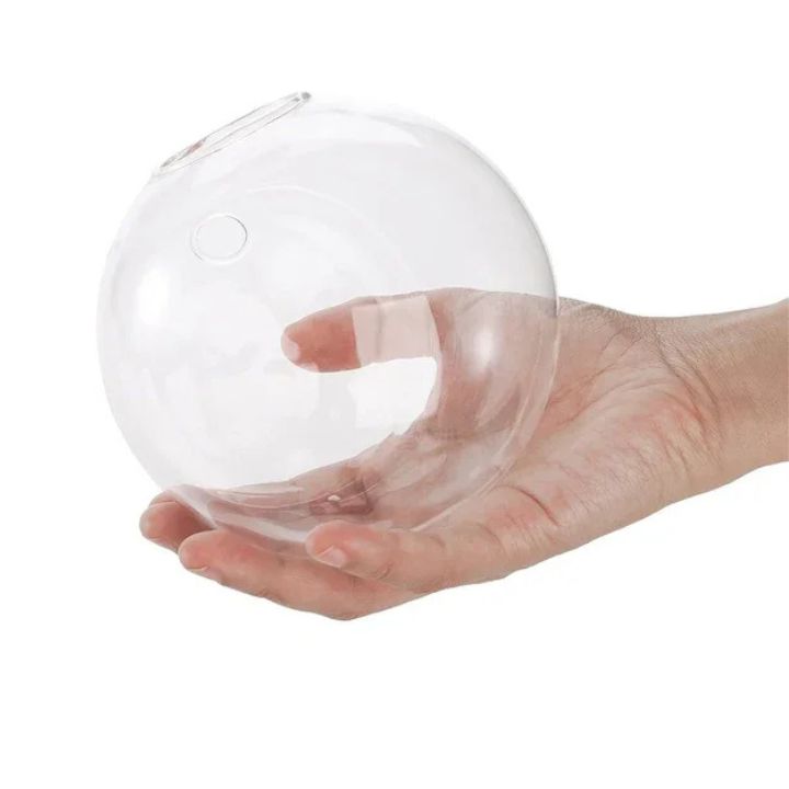 1+1 Gratis | Elegante Glas-Wandvase – Minimalistischer Pflanzenhalter Zorenza