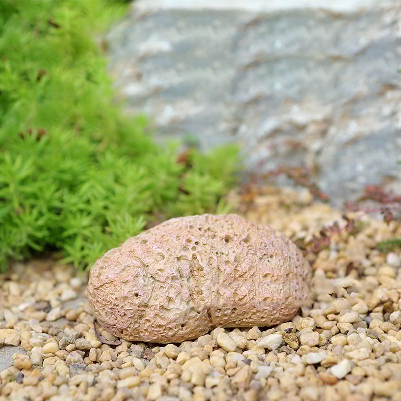Steinschlüssel Versteck – Unauffällig, Wetterfest und Ideal für den Garten Zorenza