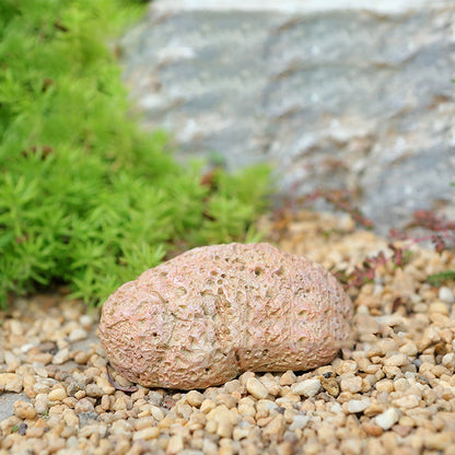 Steinschlüssel Versteck – Unauffällig, Wetterfest und Ideal für den Garten Zorenza