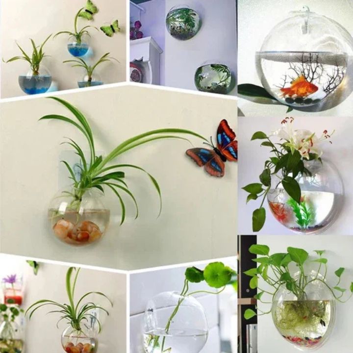 1+1 Gratis | Elegante Glas-Wandvase – Minimalistischer Pflanzenhalter Zorenza
