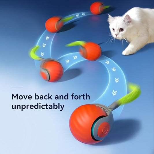 Interaktiver elektrischer Spielball mit Wedelschwanz – Für stundenlangen Spielspaß Ihrer Katze Zorenza