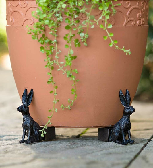 Cute Animal Shaped Pots Feet(🔥set of 3) Zorenza