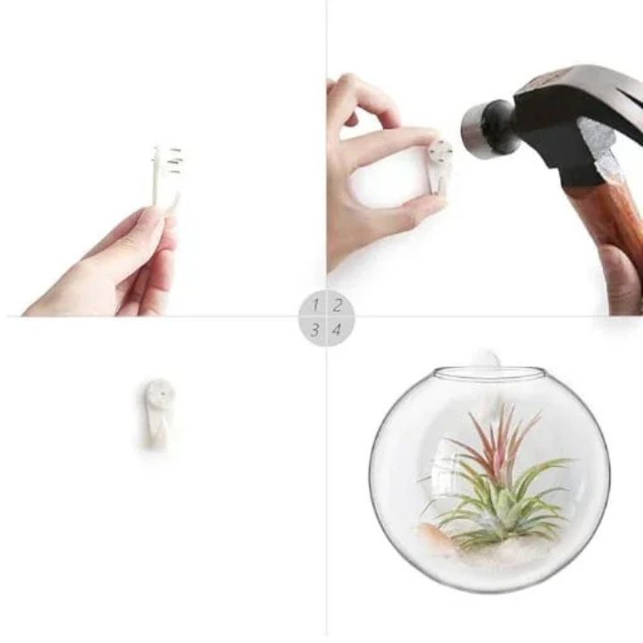 1+1 Gratis | Elegante Glas-Wandvase – Minimalistischer Pflanzenhalter Zorenza
