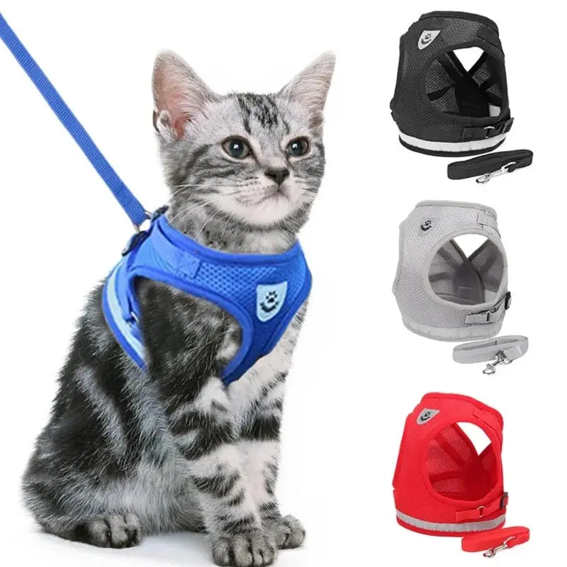 Atmungsaktives Leuchtgeschirr für Katzen und Hunde - Sanfte Druckverteilung Zorenza