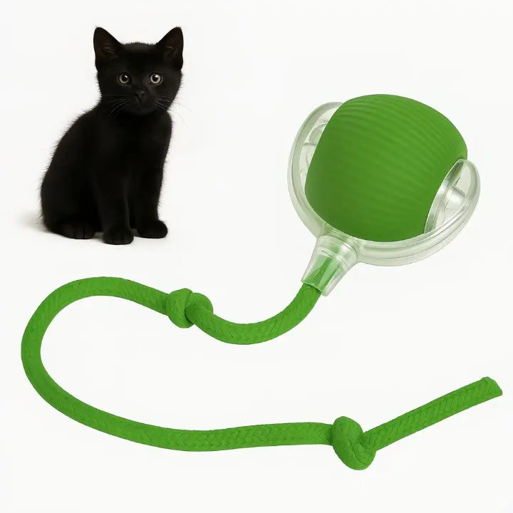 Automatischer Spielball für aktive Haustiere Zorenza