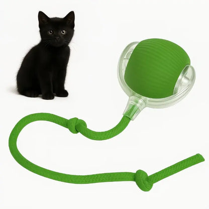 Automatischer Spielball für aktive Haustiere Zorenza