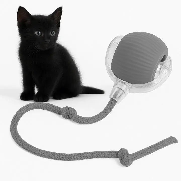 Automatischer Spielball für aktive Haustiere Zorenza