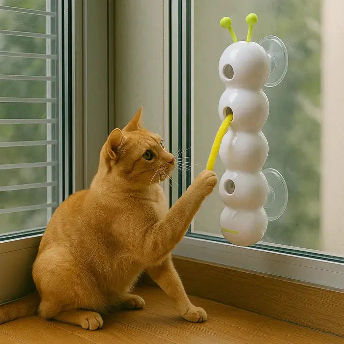 PurrWhirl – Interactive Cat Toy with Worm Motion Mivoza Deutschland