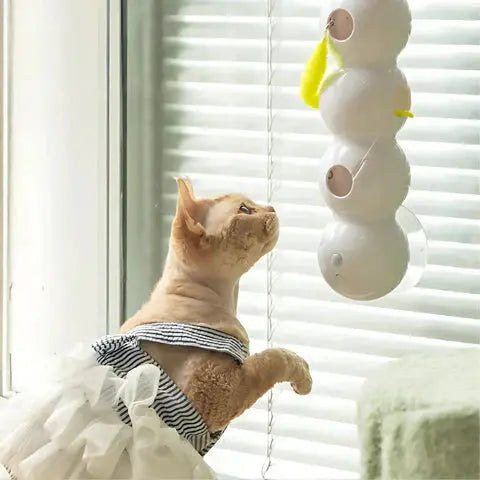 PurrWhirl – Interactive Cat Toy with Worm Motion Mivoza Deutschland