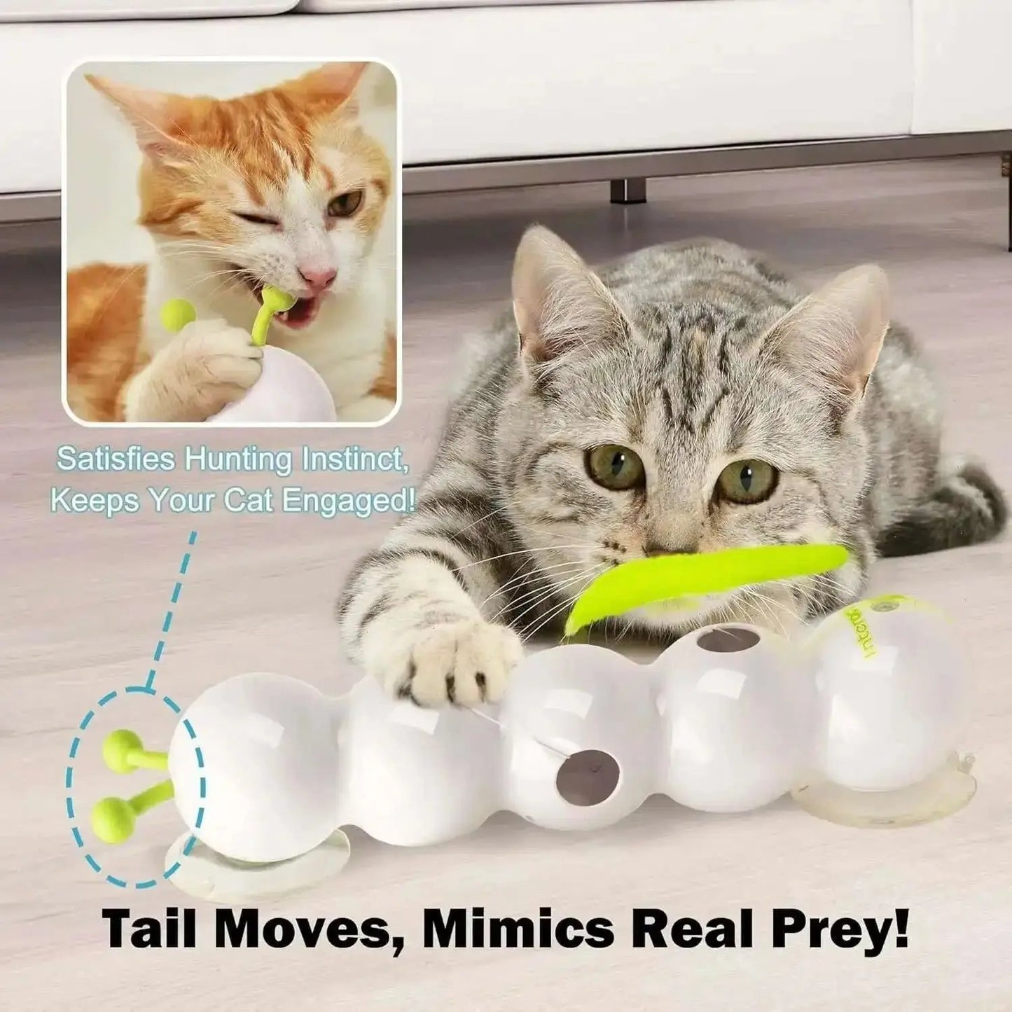 PurrWhirl – Interactive Cat Toy with Worm Motion Mivoza Deutschland