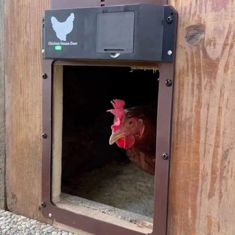 Chicken Door™ – Automatische Hühnerstalltür mit Lichtsensor Zorenza