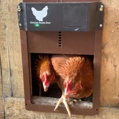 Chicken Door™ – Automatische Hühnerstalltür mit Lichtsensor Zorenza