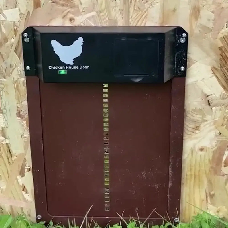 Chicken Door™ – Automatische Hühnerstalltür mit Lichtsensor Zorenza