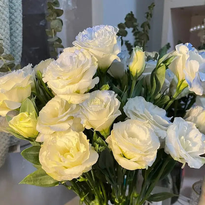 Eustoma Rosensamen – Dornenlose Schönheit für Ihren Garten Zorenza