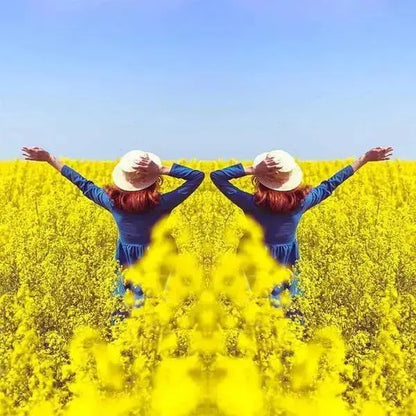 Kamera-Spiegelreflektor Clip — Für kreative & künstlerische Aufnahmen Mivoza Deutschland