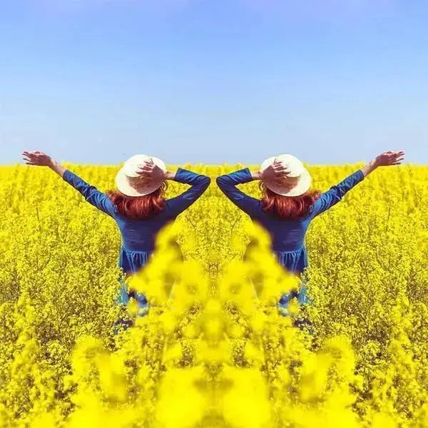 Kamera-Spiegelreflektor Clip — Für kreative & künstlerische Aufnahmen Mivoza Deutschland