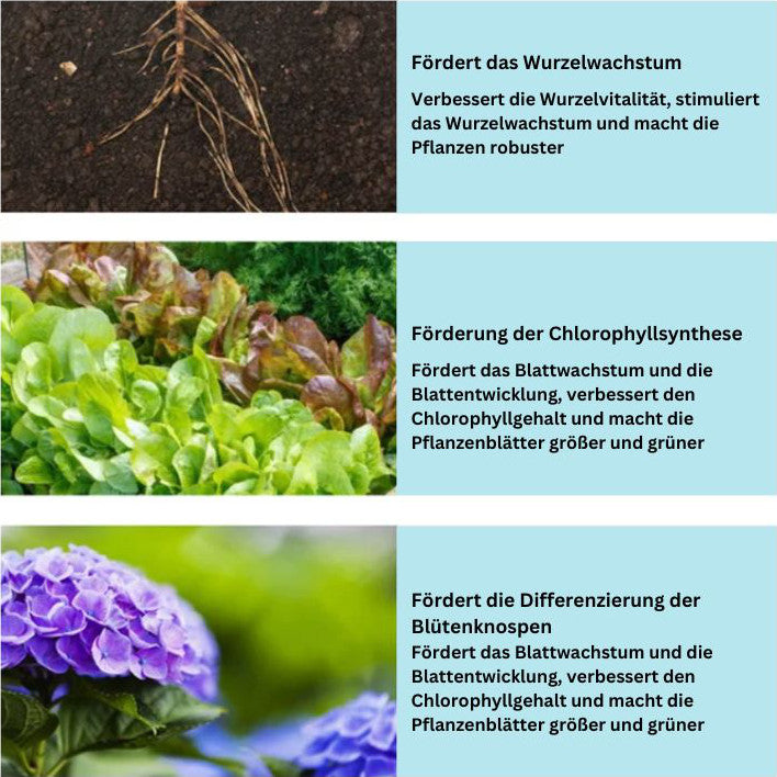 2+1 Gratis | Universal organischer Langzeitdünger Tabletten Mivoza Deutschland