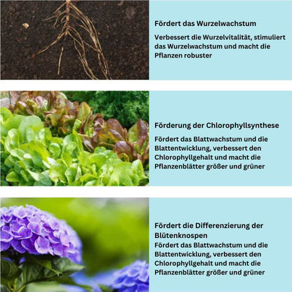 2+1 Gratis | Universal organischer Langzeitdünger Tabletten Mivoza Deutschland