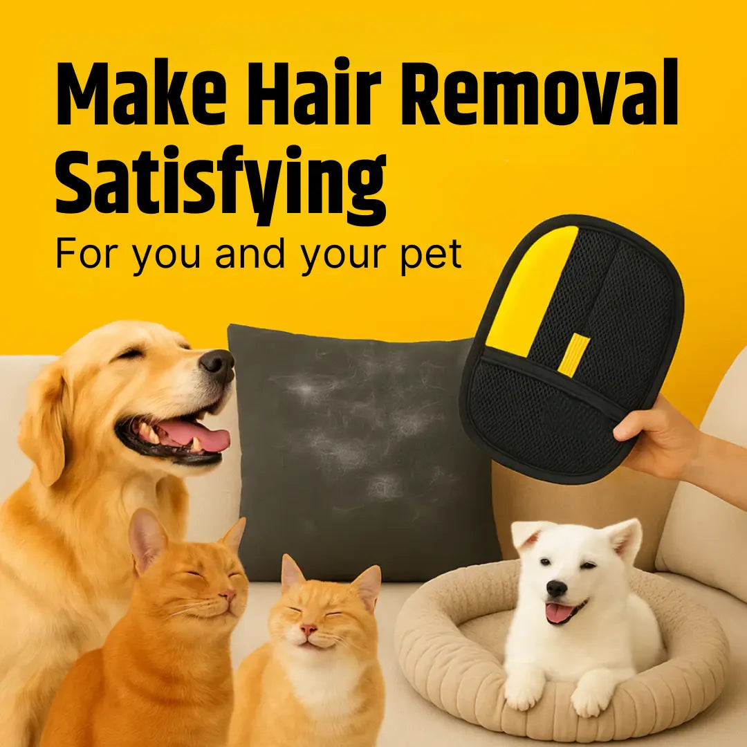 Petsberg® Hair Removal Glove Mivoza Deutschland