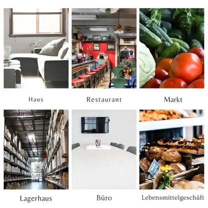 Hochempfindliche automatische Mausefalle Mivoza Deutschland