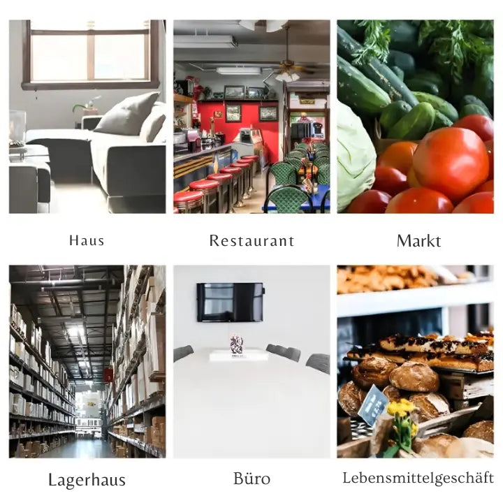 Hochempfindliche automatische Mausefalle Mivoza Deutschland